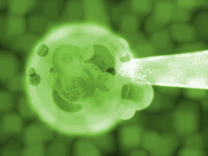 fecundacion in vitro